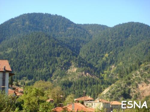 Image00087